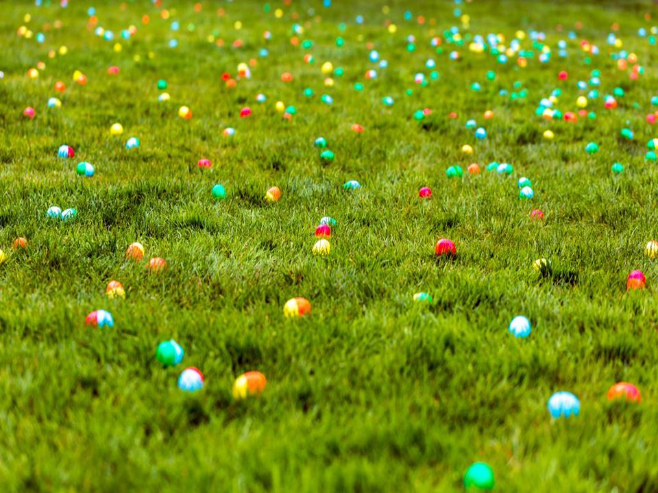 easter-egg-hunt-1024x609