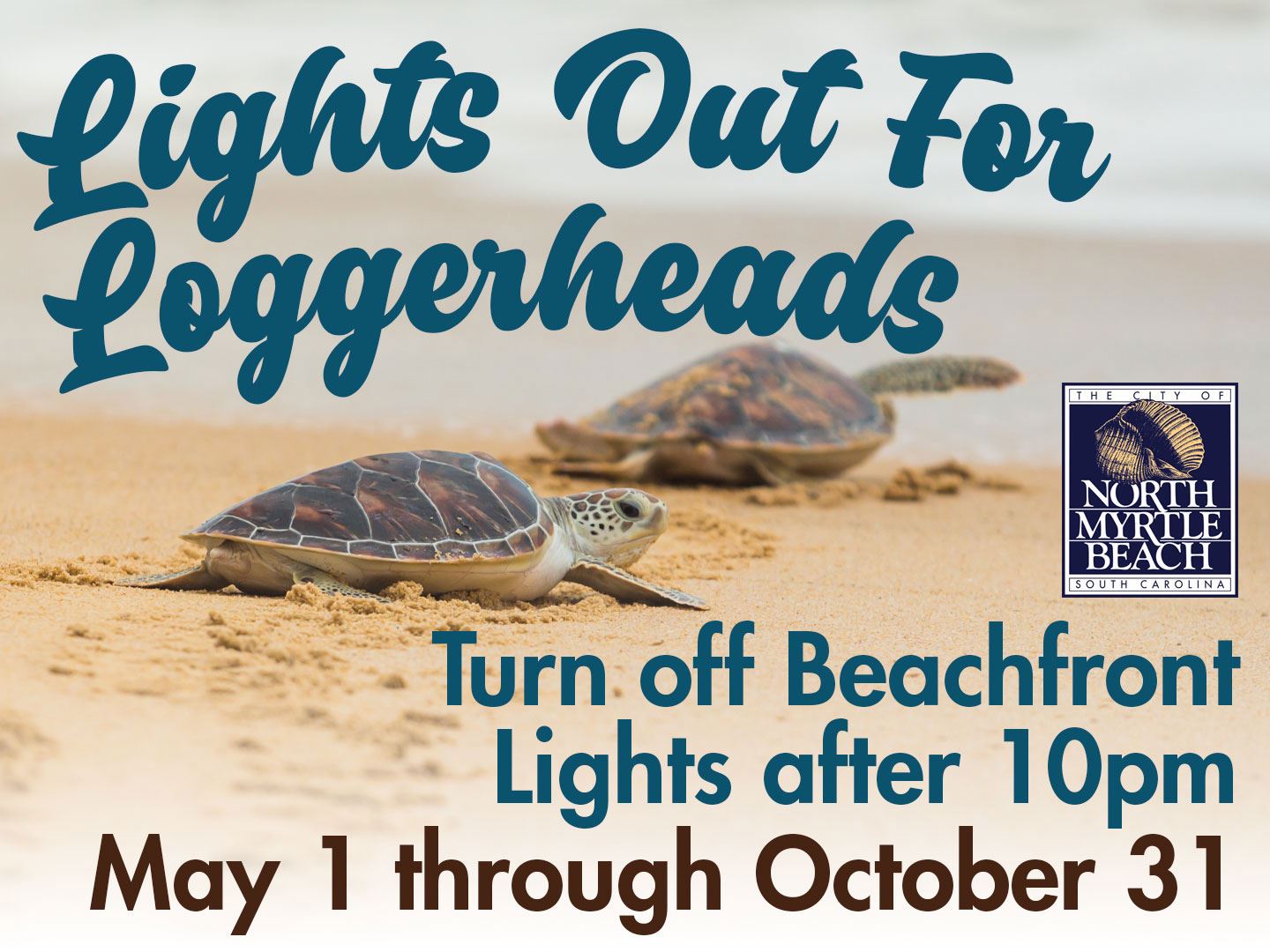 Lights-Out-Loggerheads-news