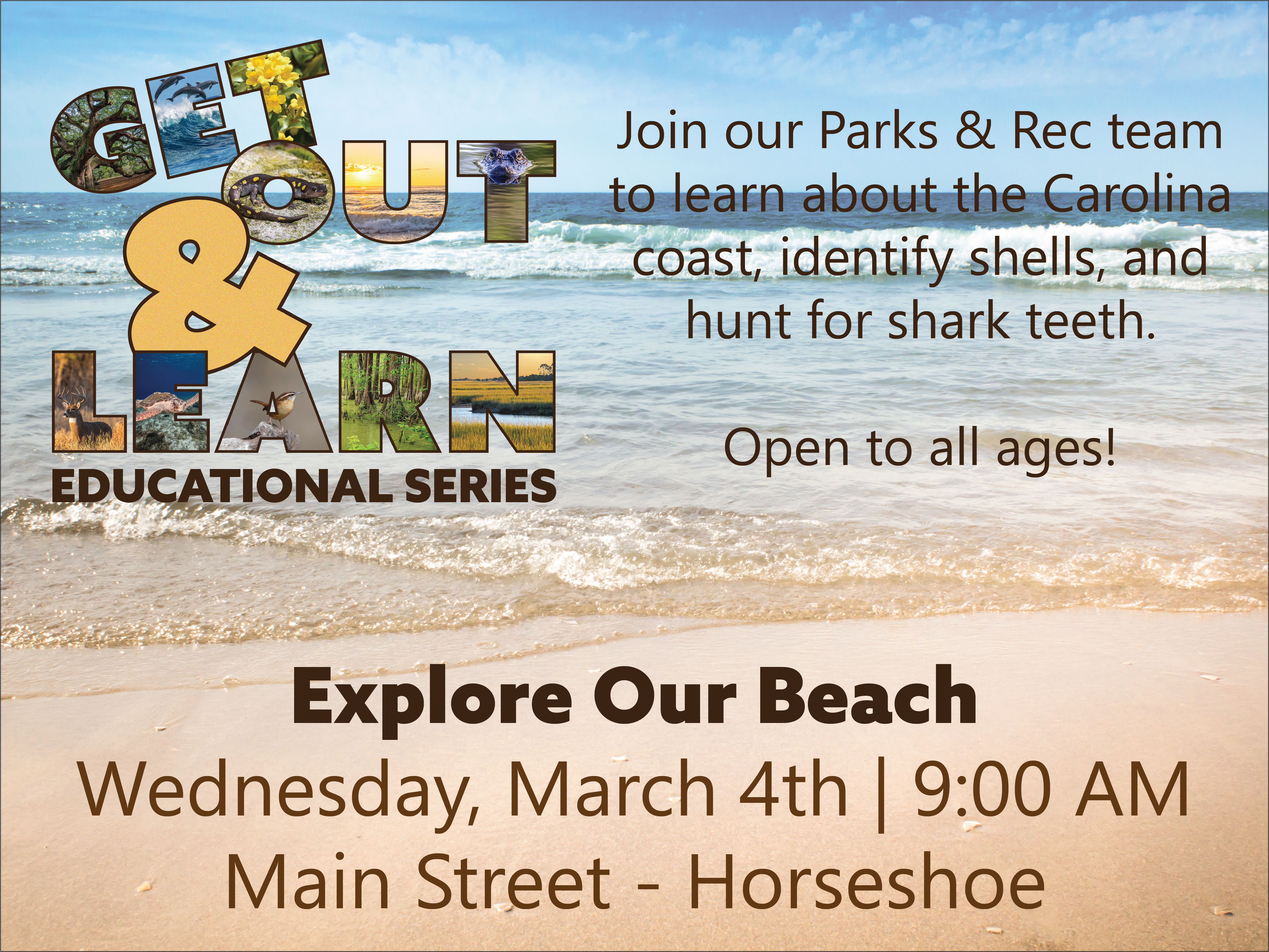 Explore Our Beach Promo Small Horseshoe